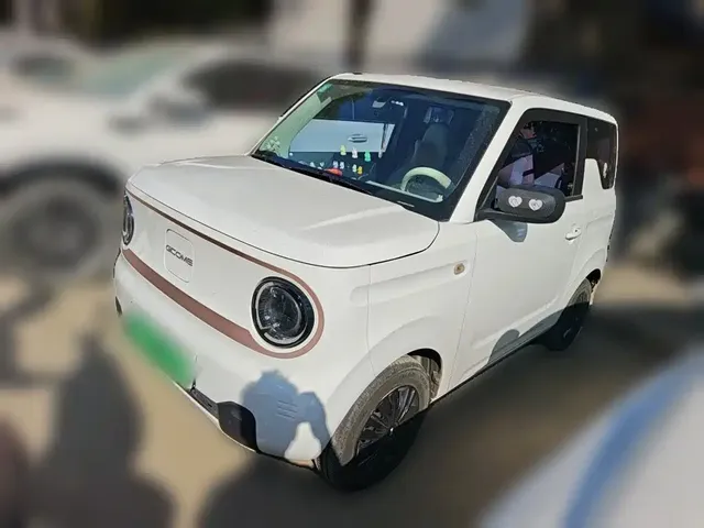 Geely Galaxy Panda 2023 Panda Mini 200km Endurance Bear