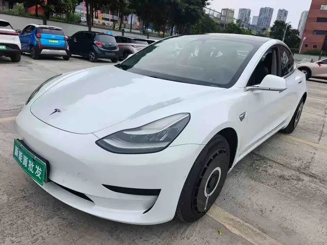 Tesla Model 3 2019 Standard Range Rear-Wheel Drive Upgrade