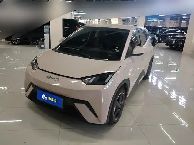 BYD Seagull 2024 Glory Edition 305km Freedom Edition