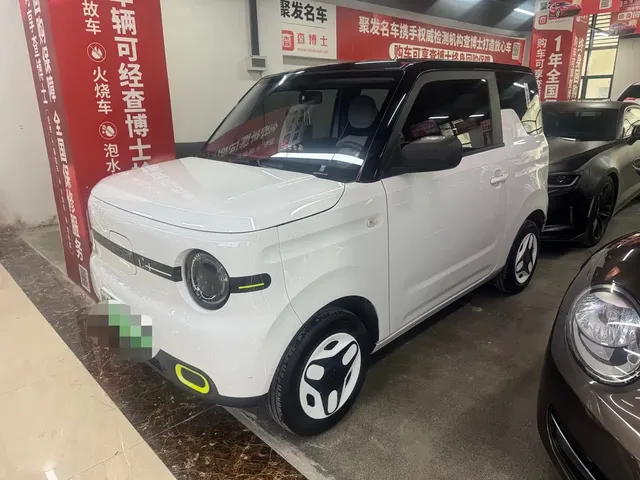 Geely Galaxy Panda 2025 Panda mini 210km Vitality Bear