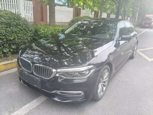 BMW 5 Series New Energy 2019 530Le Luxury Package