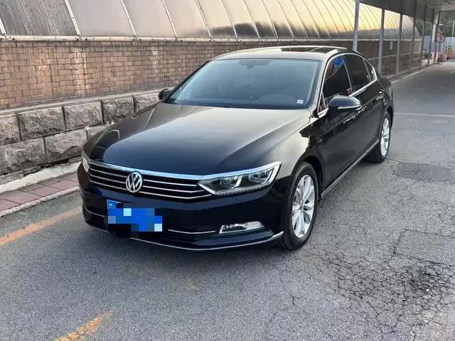 Volkswagen Magotan 2019 330TSI DSG Luxury China V