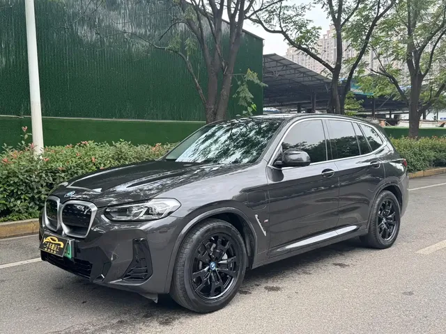 BMW iX3 2023 Leading Type