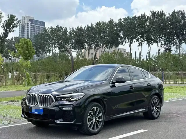 BMW X6 2020 xDrive30i M Sport Package