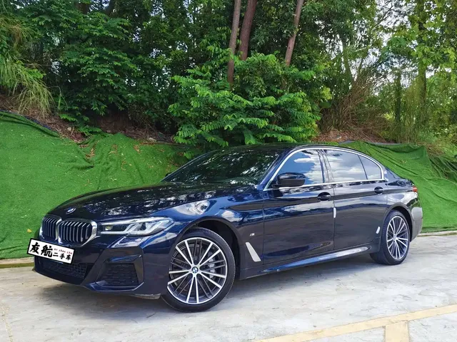 BMW 5 Series 2021 530Li Leading M Sport Package