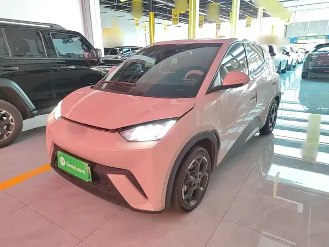 BYD Seagull 2024 Glory Edition 405km Soaring Edition