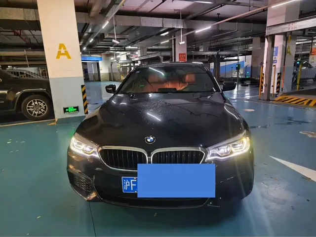 BMW 5 Series 2020 530Li Leading M Sport Package