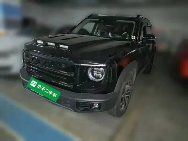 Haval Big Dog 2024 1.5T DCT Border Collie Edition