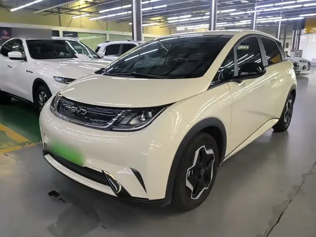 BYD Dolphin 2024 Glory Edition 420km Freedom Edition