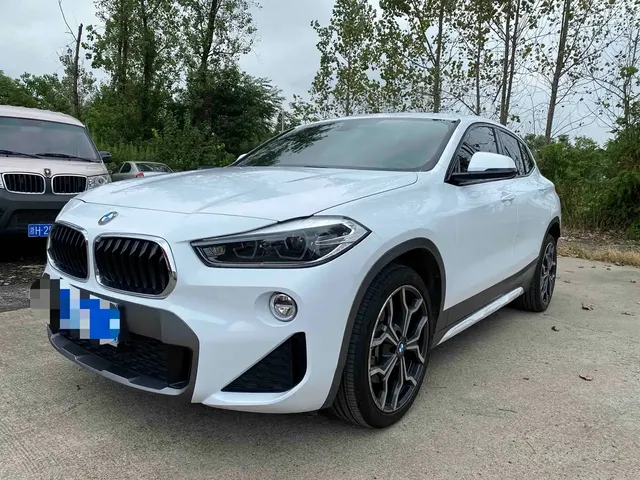 BMW X2 (Import) 2018 sDrive25i Luxury M Off-Road Package China V