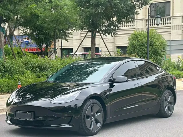 Tesla Model 3 2021 Standard Range Rear-Wheel Drive Upgrade 3D6