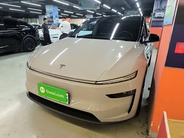 Tesla Model Y 2025 Model Long Range All-Wheel Drive Launch Edition