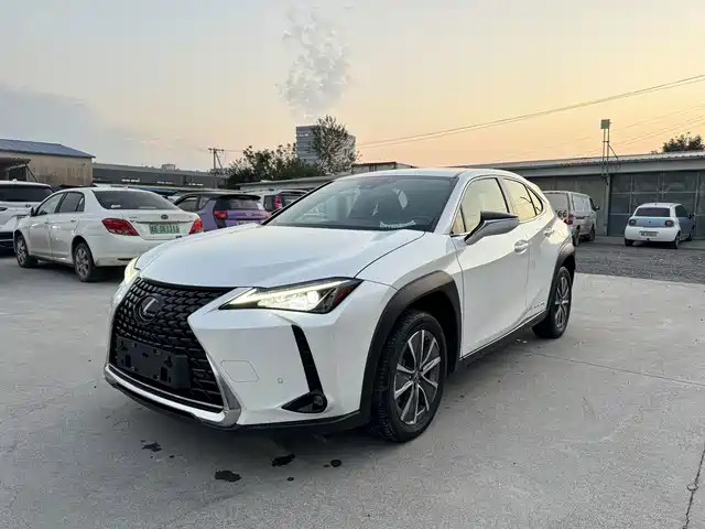 Lexus UX Electric 2020 300e Pure Enjoyment Edition