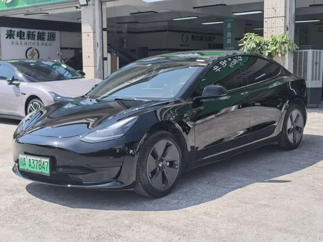 Tesla Model 3 2022 Model Rear-Wheel Drive Version