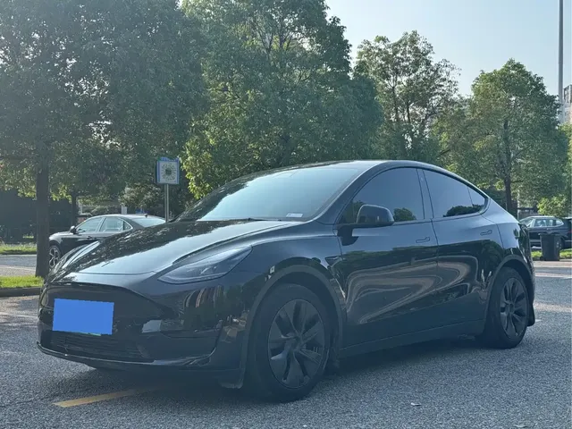 Tesla Model Y 2023 Rear-Wheel Drive Edition