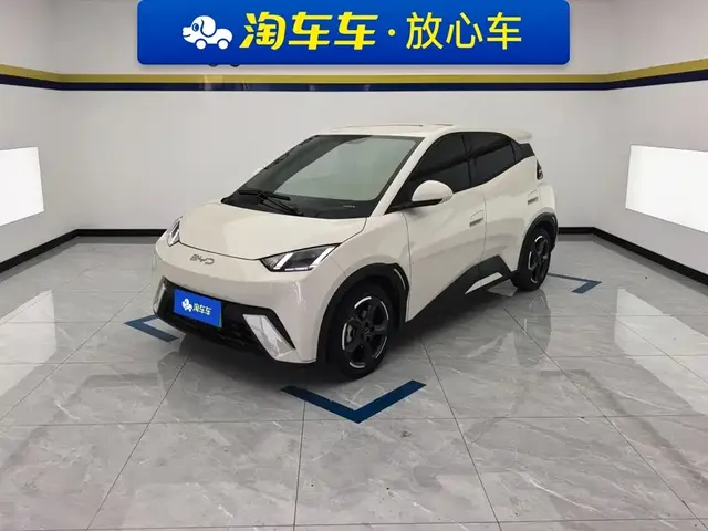 BYD Seagull 2024 Glory Edition 305km Freedom Edition