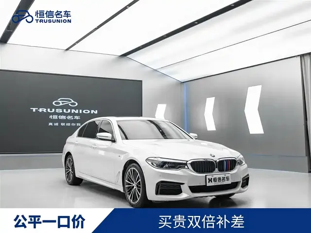 BMW 5 Series 2020 530Li Leading M Sport Package
