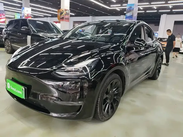 Tesla Model Y 2021 Standard Range Rear-Wheel Drive