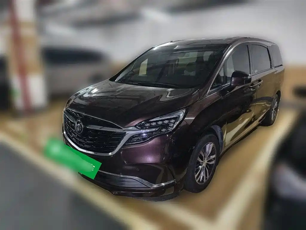 Buick GL8 2020 Model ES Landglory 653T Premium