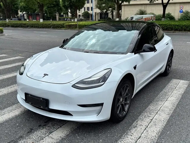 Tesla Model 3 (Import) 2019 Standard Range RWD Upgraded Edition