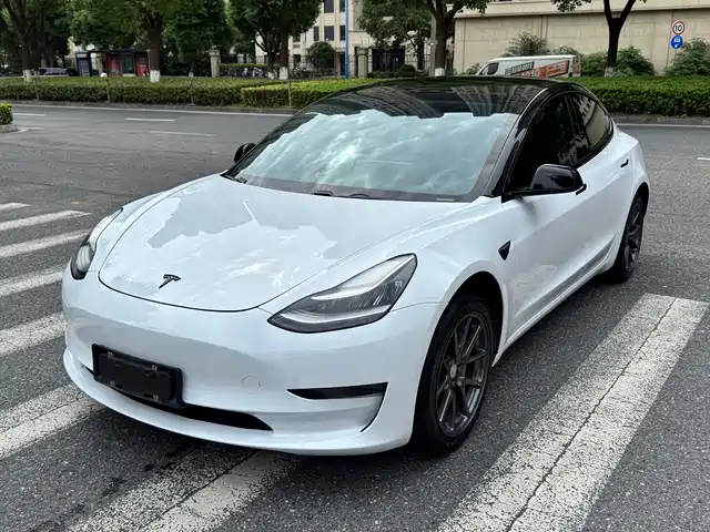 Tesla Model 3 (Import) 2019 Standard Range RWD Upgraded Edition