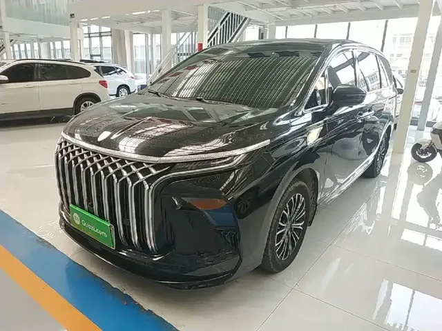 Dongfeng Fengxing Starlight V9 2024 1.5TD 200km Chinese Knot Series Luxury