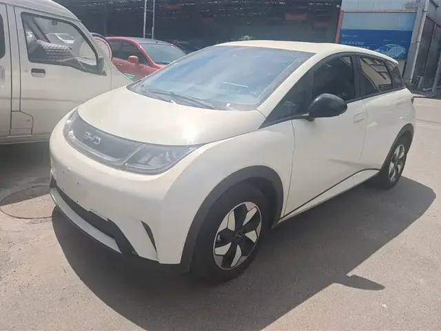 BYD Dolphin 2025 420km Freedom Edition