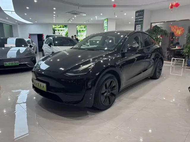 Tesla Model Y 2023 Rear-Wheel Drive Edition