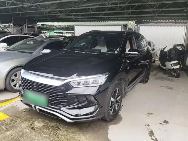BYD Song Pro New Energy 2024 Glory Edition DM-i 71KM Pilot