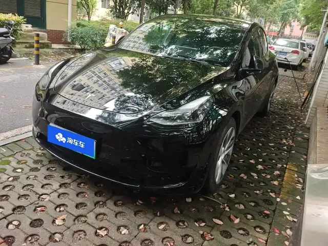 Tesla Model Y 2022 Rear-Wheel Drive Version