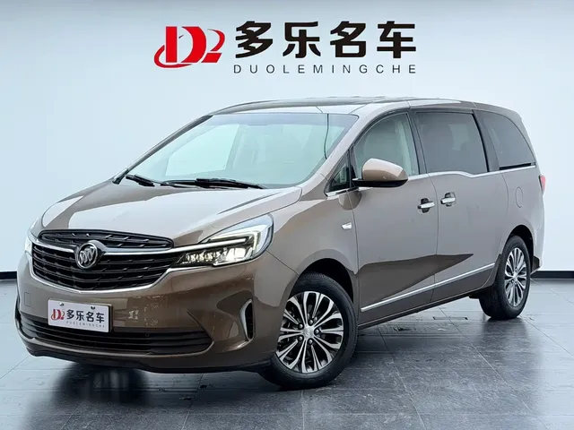 Buick GL8 2020 Model Land Business Class 652T Luxury