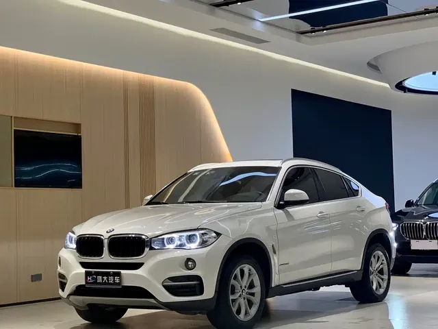 BMW X6 2018 xDrive35i Leading Model