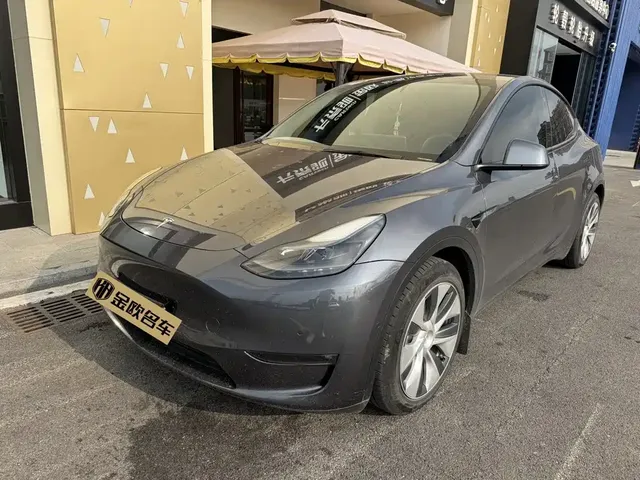 Tesla Model Y 2021 Standard Range Rear-Wheel Drive