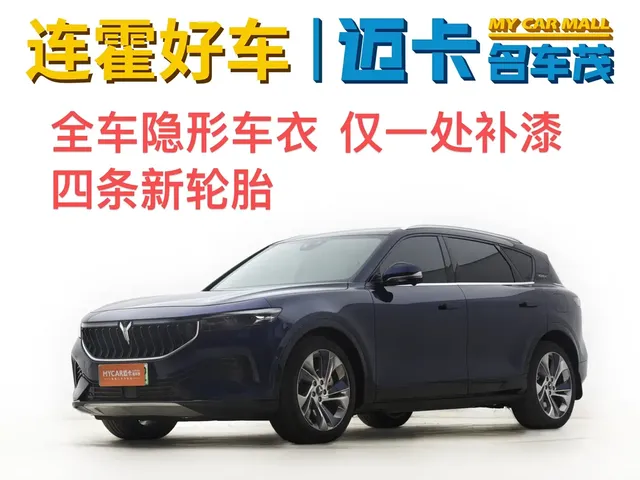 Voyah Auto VOYAH FREE 2021 4WD Extended Range Launch Edition Exclusive Luxury Package