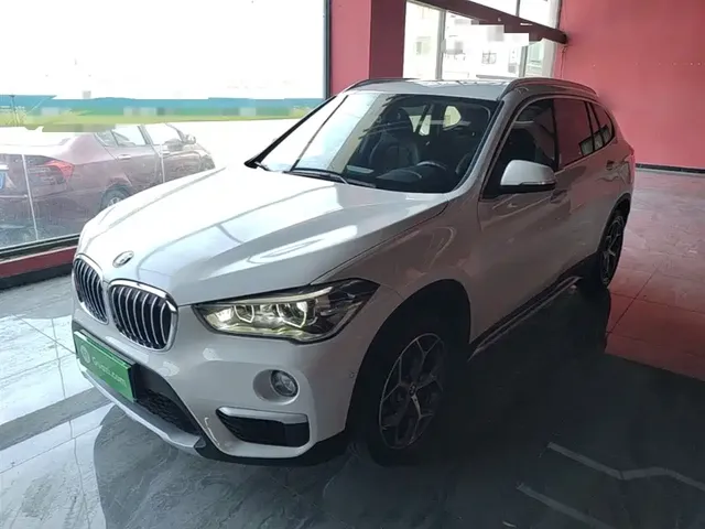 BMW X1 2019 xDrive20Li Premium Model
