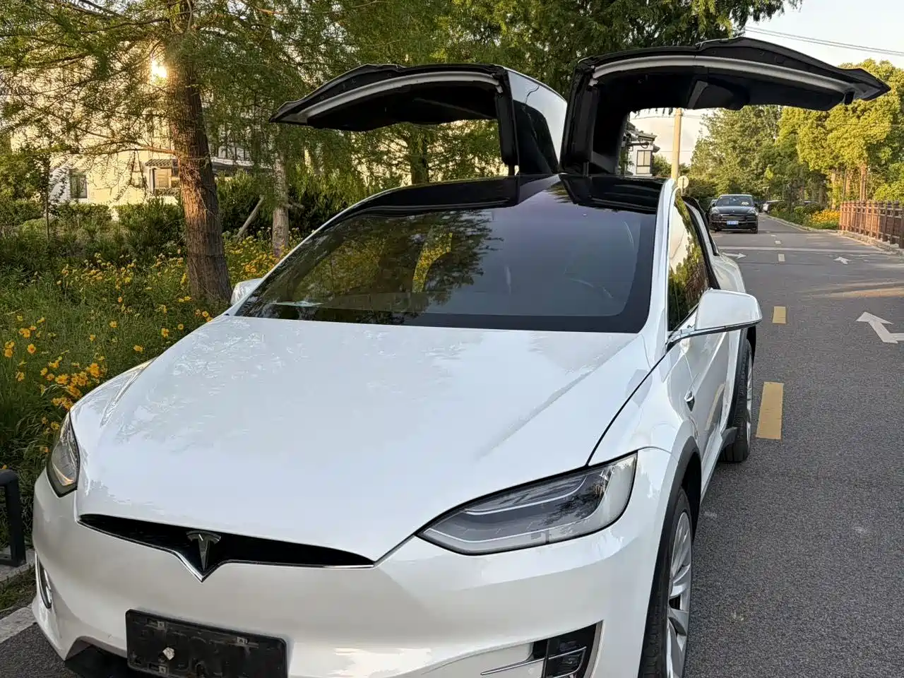 Tesla Model X 2019 Long Range Version