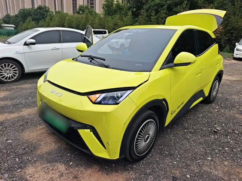 BYD Seagull 2024 Glory Edition 305km Vitality Edition