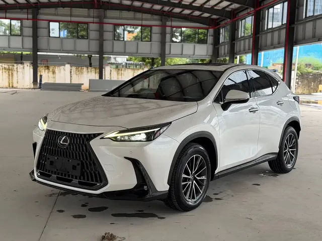 Lexus NX New Energy 2022 400h+ Joy Edition