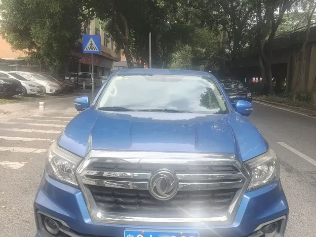 Dongfeng Ruiqi 2019 2.4L Gasoline China VI 2WD Luxury Standard Box 2TZD
