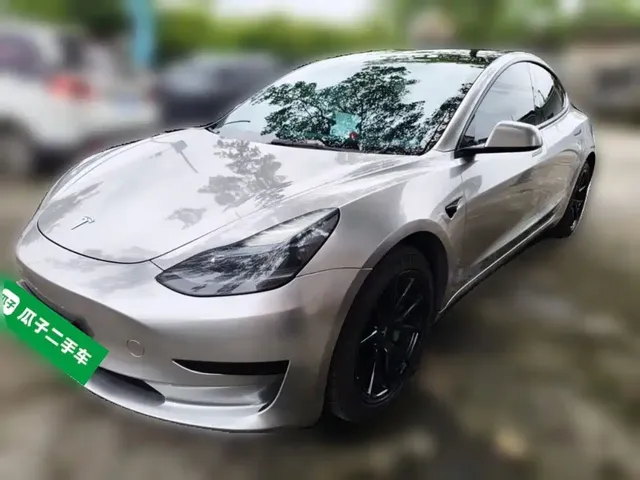 Tesla Model 3 2022 Model Rear-Wheel Drive Version