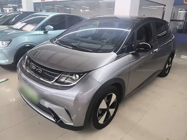 BYD Dolphin 2021 405km Freedom Edition