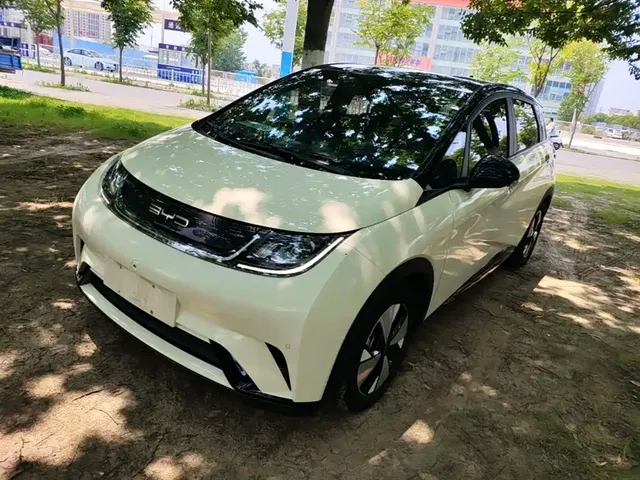 BYD Dolphin 2023 401km Knight Edition