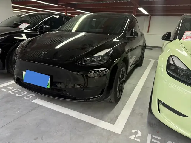 Tesla Model Y 2024 Rear-Wheel Drive Version