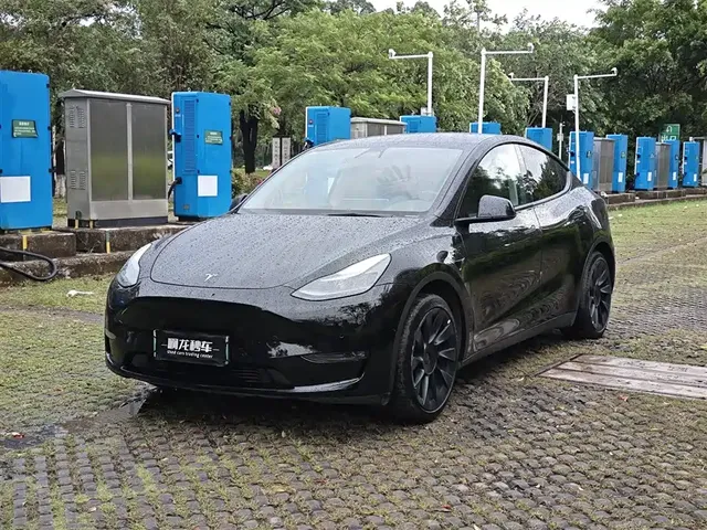 Tesla Model Y 2021 Standard Range Rear-Wheel Drive