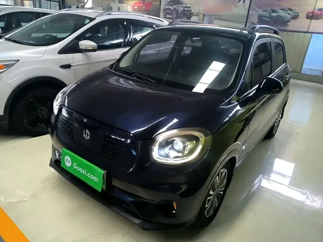 Leapmotor T03 2020 400 Standard Version