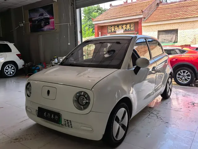 Ora Black Cat 2021 301km Pet Edition