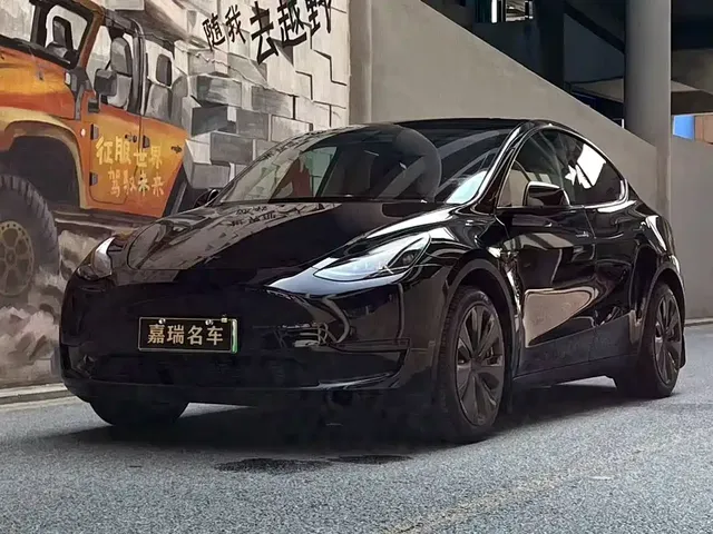 Tesla Model Y 2022 Rear-Wheel Drive Version