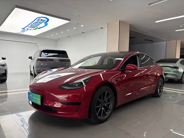 Tesla Model 3 2021 Standard Range Rear-Wheel Drive Upgrade 3D6