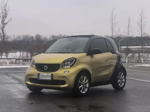 smart fortwo 2018 1.0L 52kW Hardtop Agile Edition China V