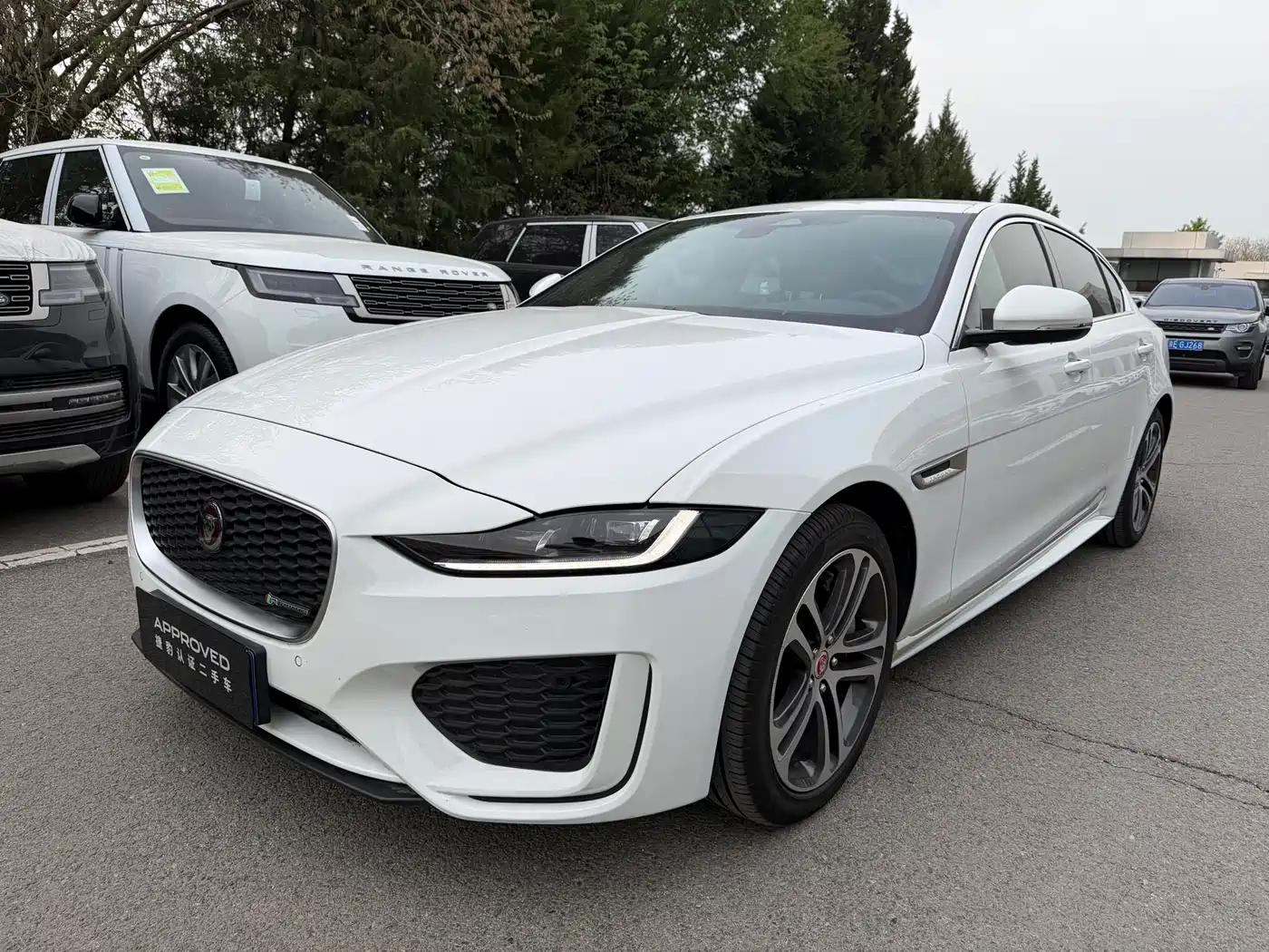 Jaguar XEL 2023 2.0T 250PS R-DYNAMIC S Progressive Sport